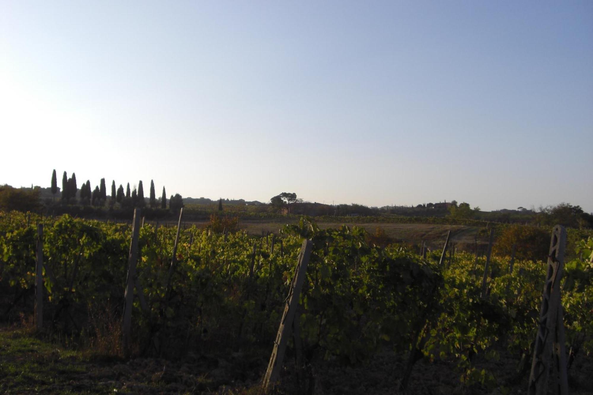 Tenuta Santagnese Montepulciano Exterior photo